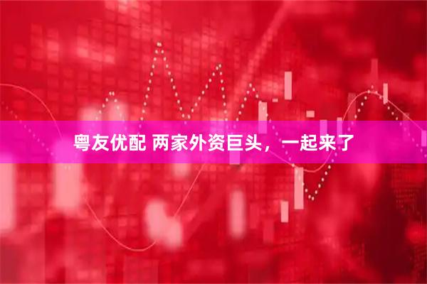 粤友优配 两家外资巨头，一起来了