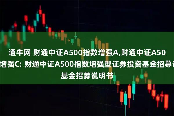 通牛网 财通中证A500指数增强A,财通中证A500指数增强C: 财通中证A500指数增强型证券投资基金招募说明书