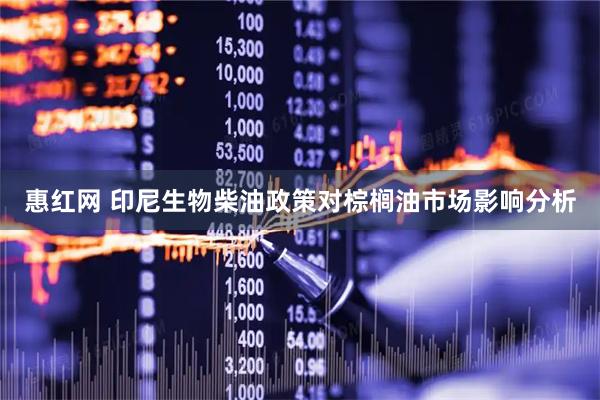 惠红网 印尼生物柴油政策对棕榈油市场影响分析