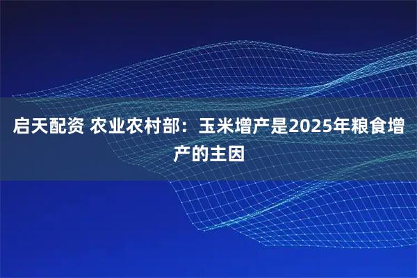 启天配资 农业农村部：玉米增产是2025年粮食增产的主因