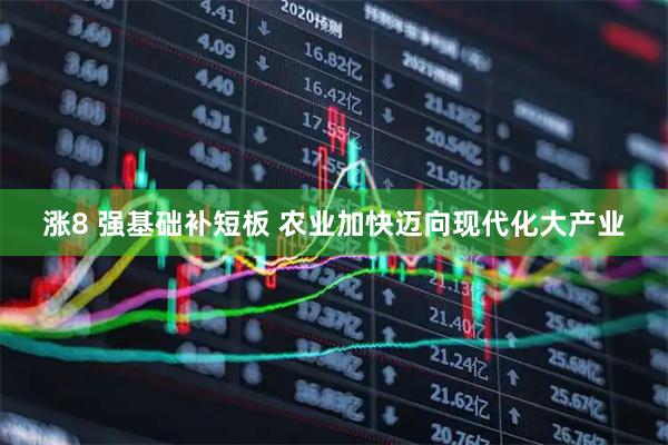 涨8 强基础补短板 农业加快迈向现代化大产业