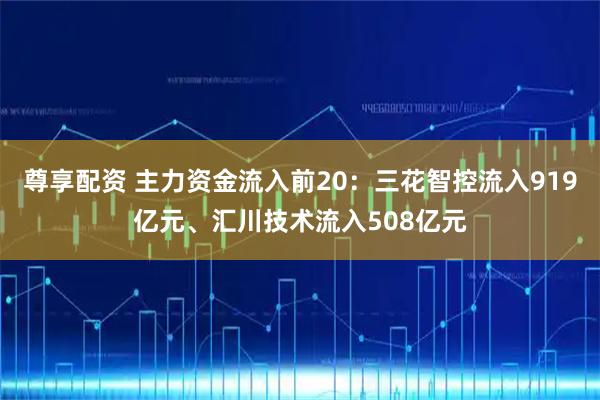 尊享配资 主力资金流入前20：三花智控流入919亿元、汇川技术流入508亿元